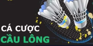 Tham Gia Cá Cược Cầu Lông Tại PG88: Bí Quyết Chiến Thắng Đỉnh Cao