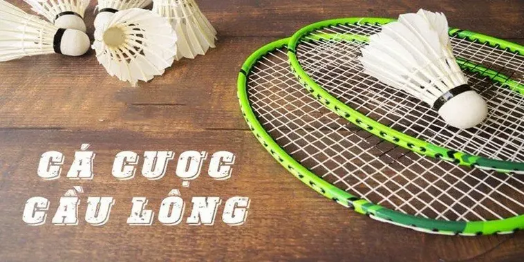 So Sánh Hai Phong Cách Chơi Cá Cược Cầu Lông Tại Bet88